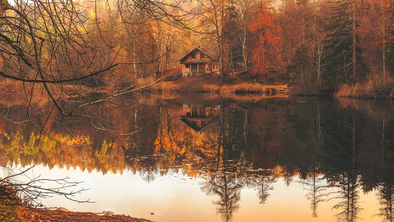 Cabin in the woods